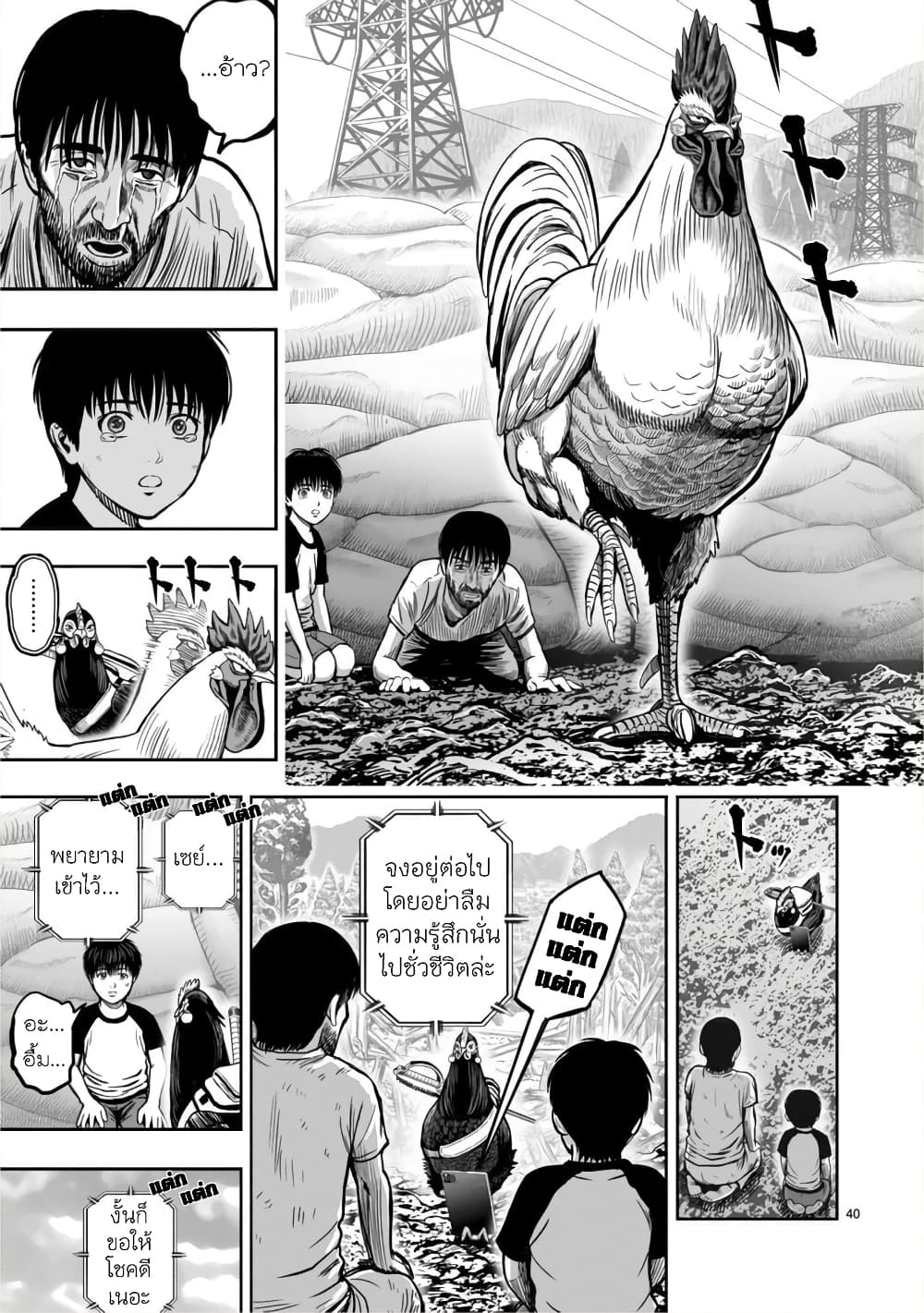 Rooster Fighter ป๋าโต้งชนยับ 10-ไก่ที่ไม่สิ้นคาศร (ยิ่งเคยเจ็บ ยิ่งลนลาน)