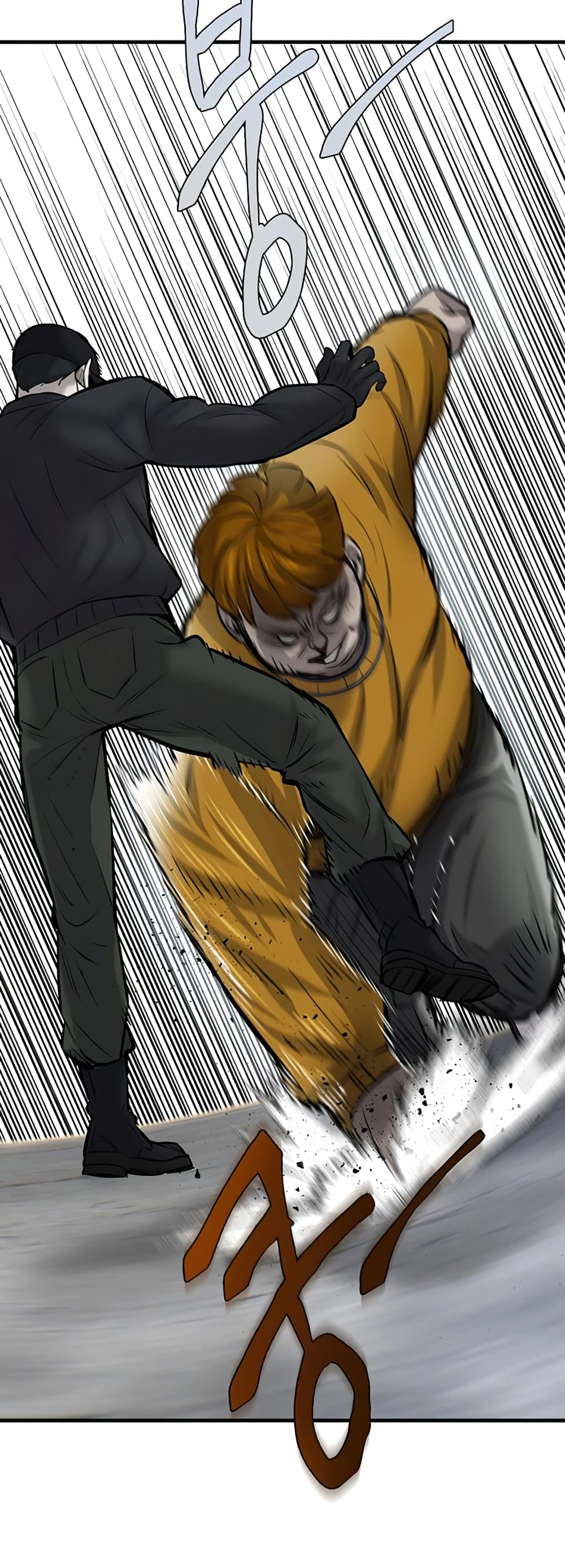 Mujin 9-9
