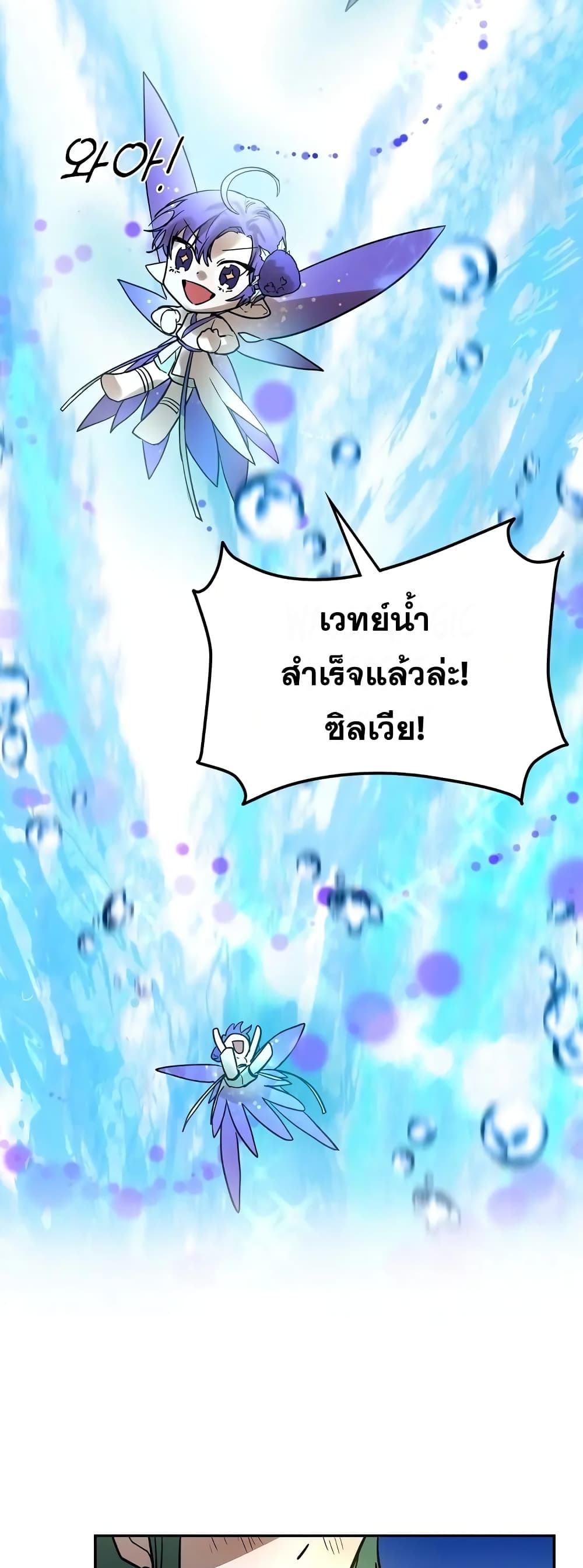 Cooking Wizard 5-5