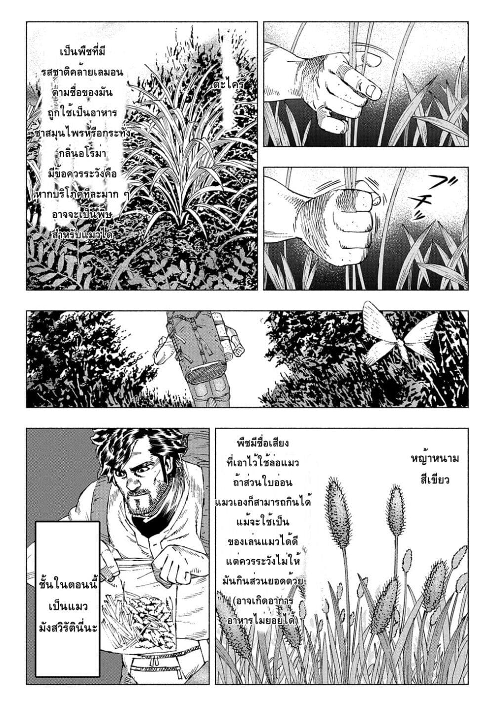 Nyaight of the Living Cat ซอมบี้เหมียวครองโลก! 11.5-Jin E. Marrow