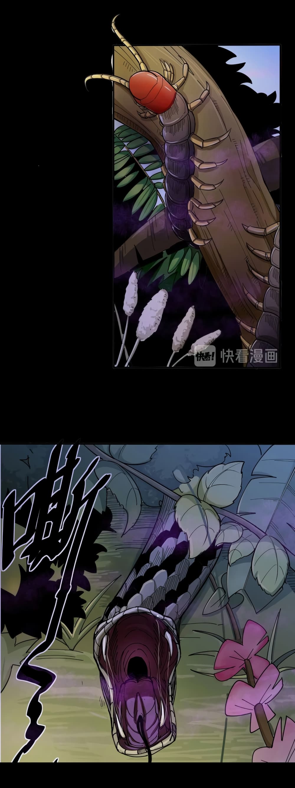 Bad Hand Witch Doctor 0-0