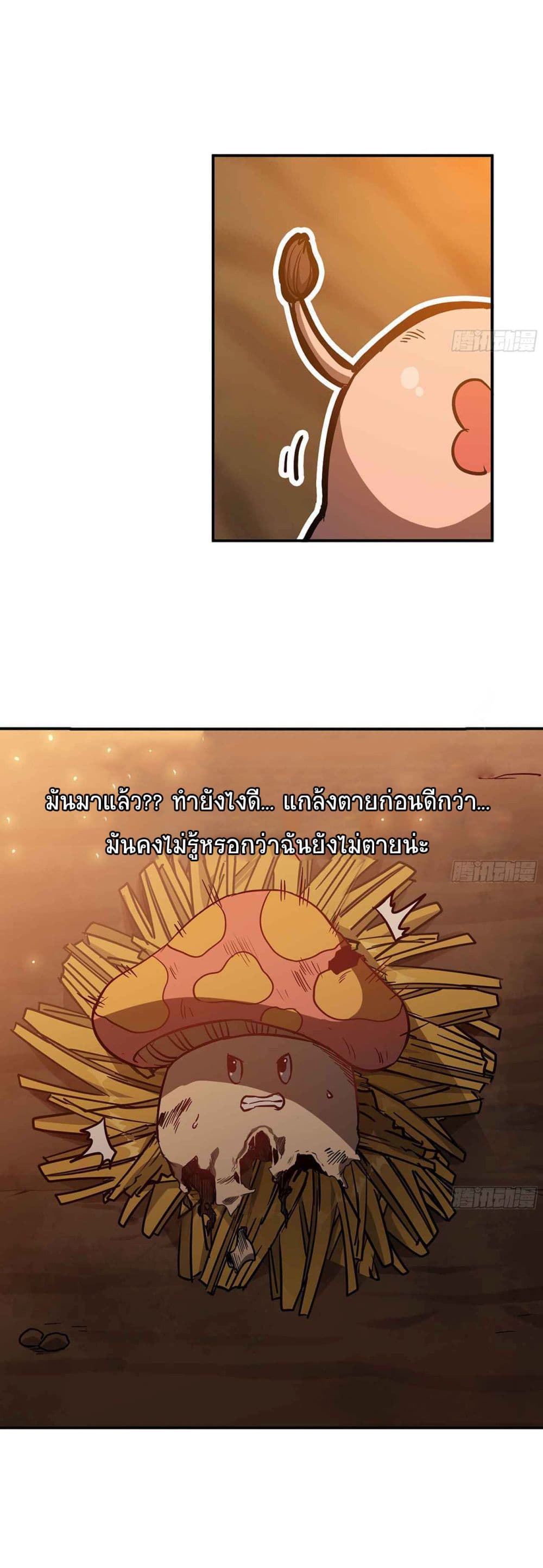 Mushroom Brave 9-9