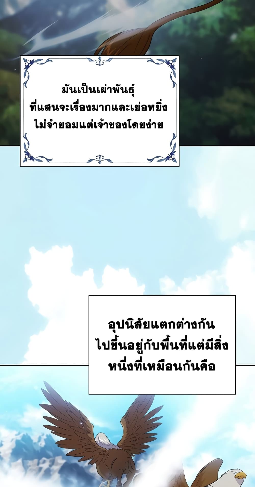 Magic Academy Survival Guide 50-50