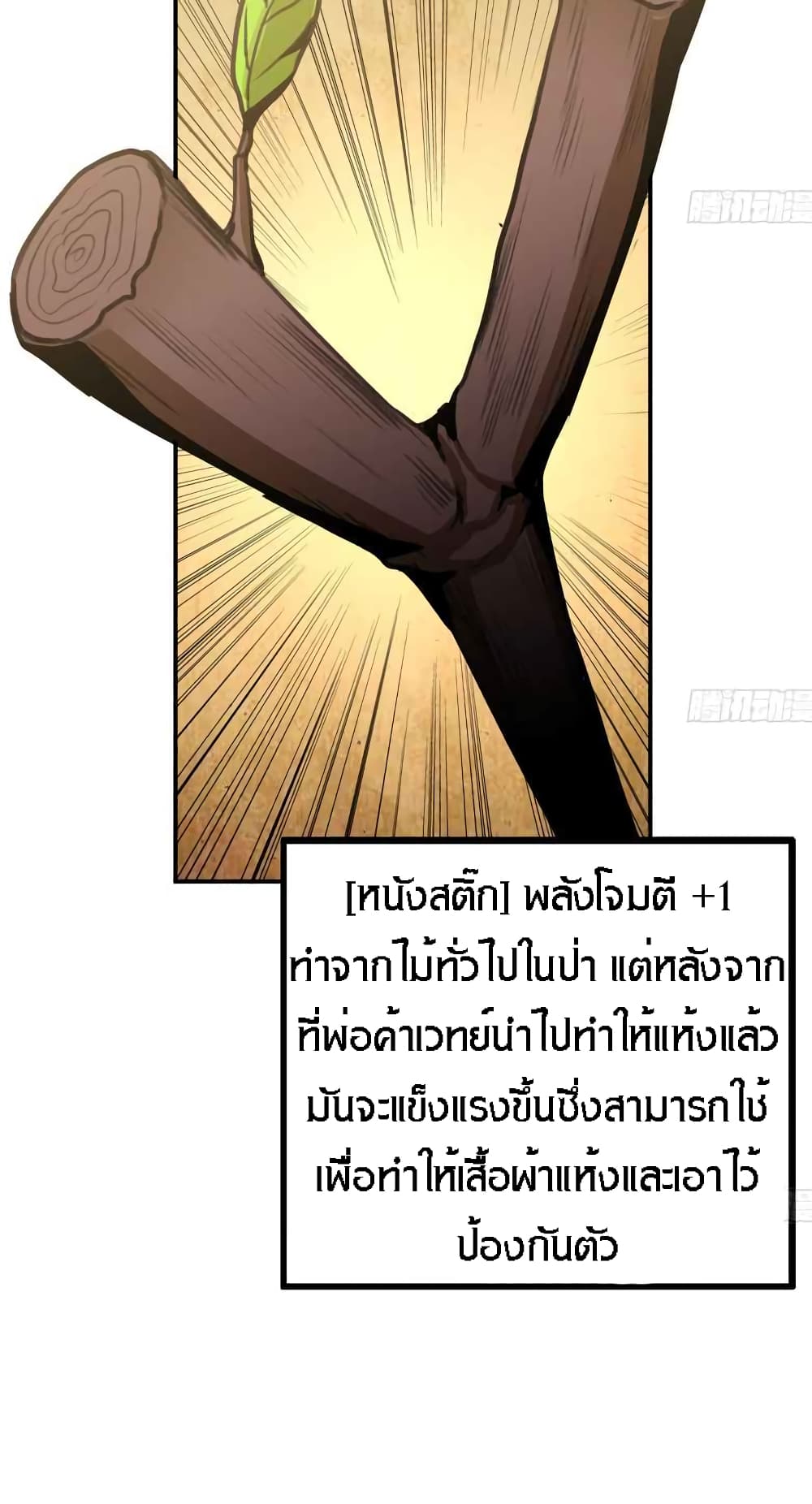 Mushroom Brave 3-3