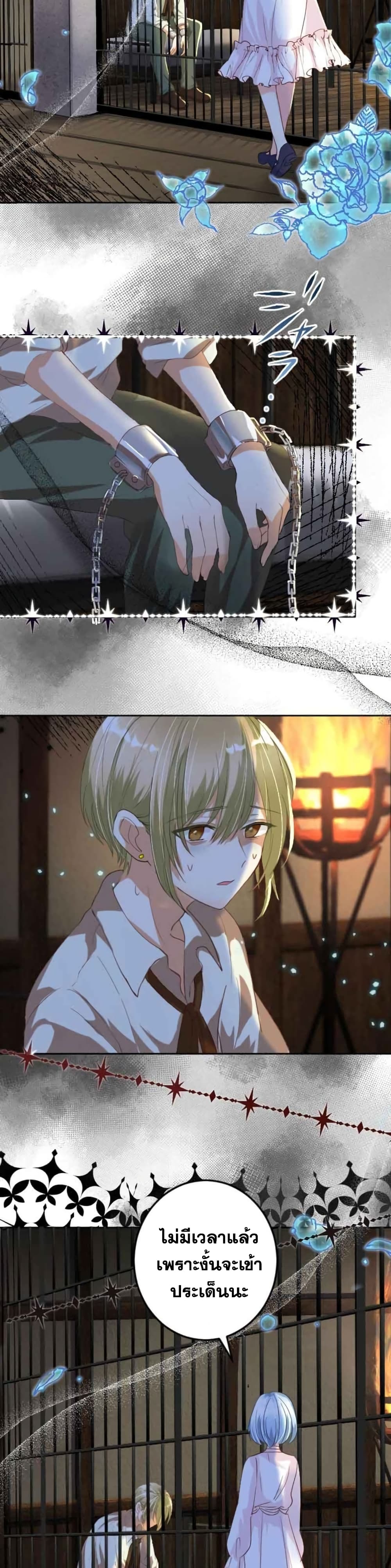 The Precious Girl Does Not Shed Tears 12-12