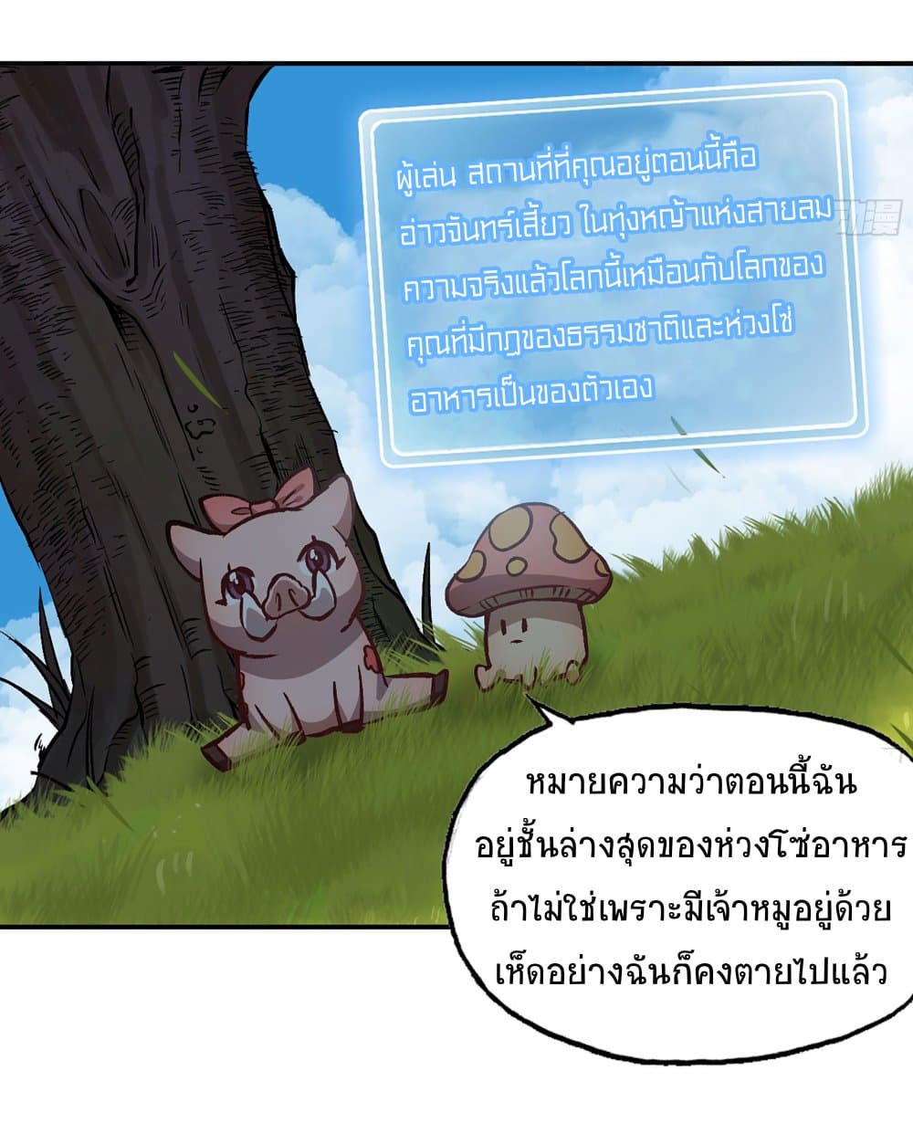 Mushroom Brave 13-13