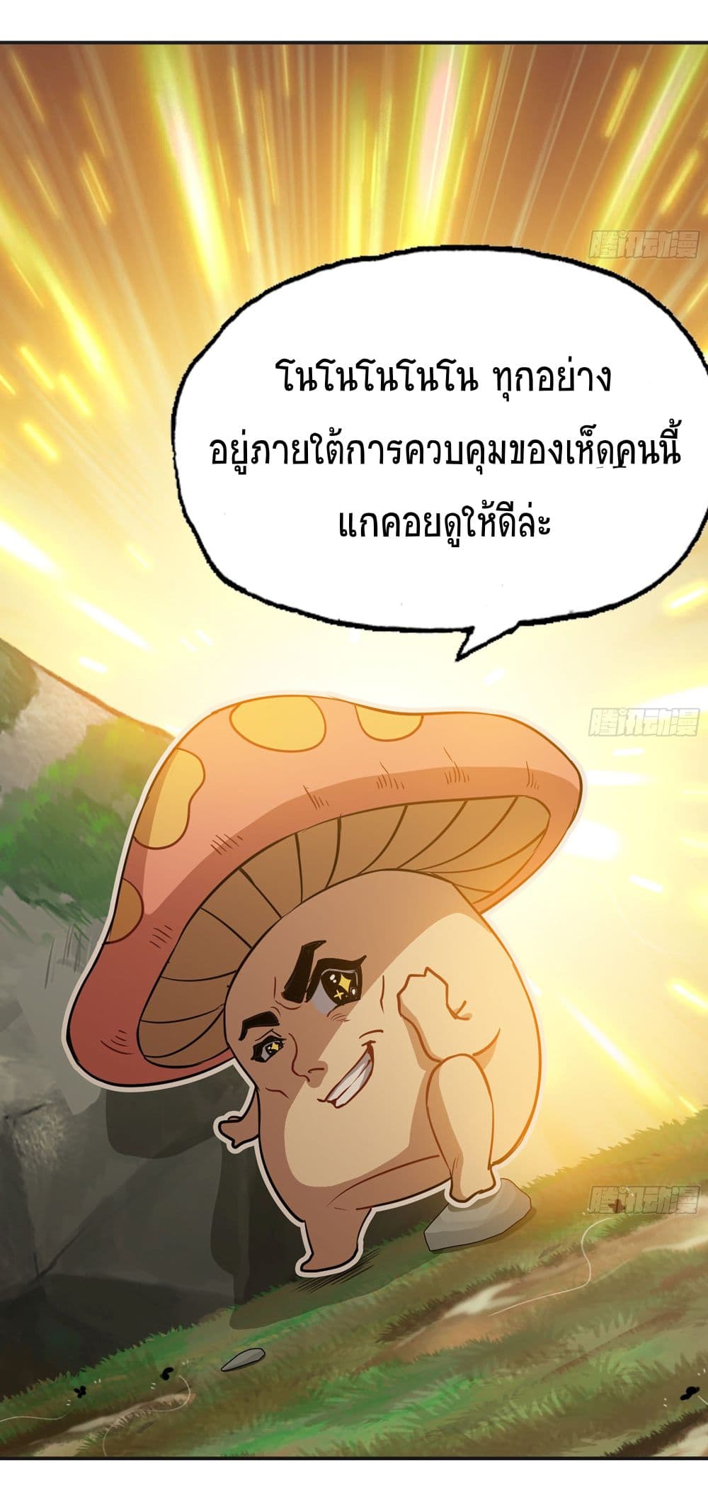 Mushroom Brave 16-16