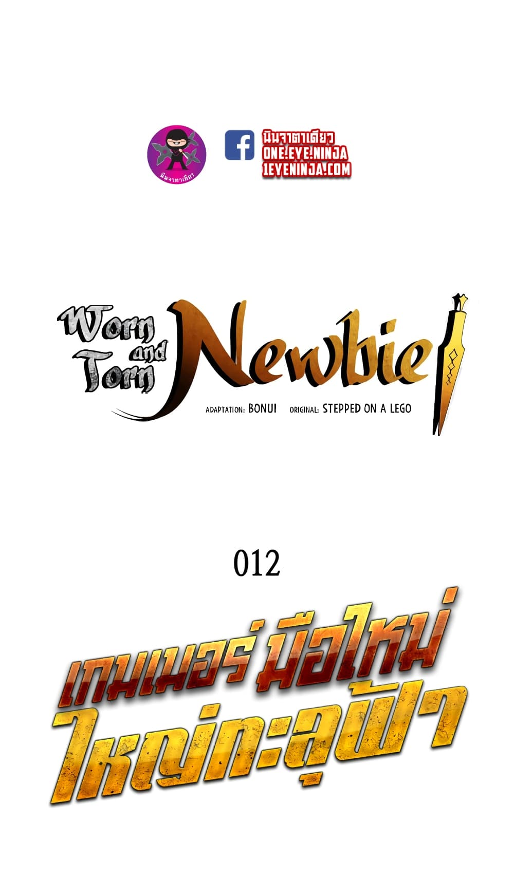 Worn and Torn Newbie 12-12