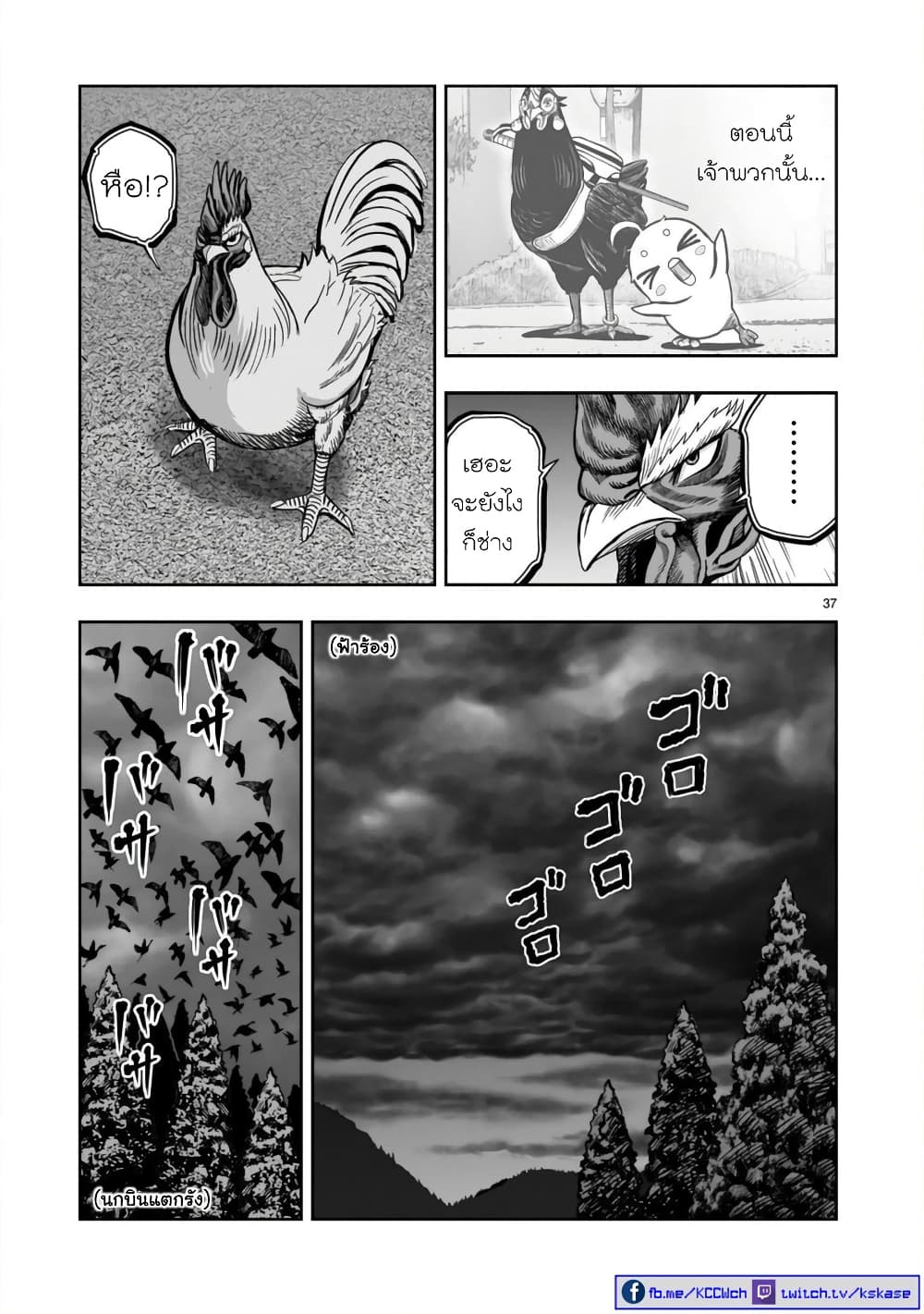 Rooster Fighter ป๋าโต้งชนยับ 12-ปลาในบ่อเลี้ยง ไก่ในกรงทอง (อยู่ในที่ไร้อิสระ ถึงแม้จะดีก็ตาม)
