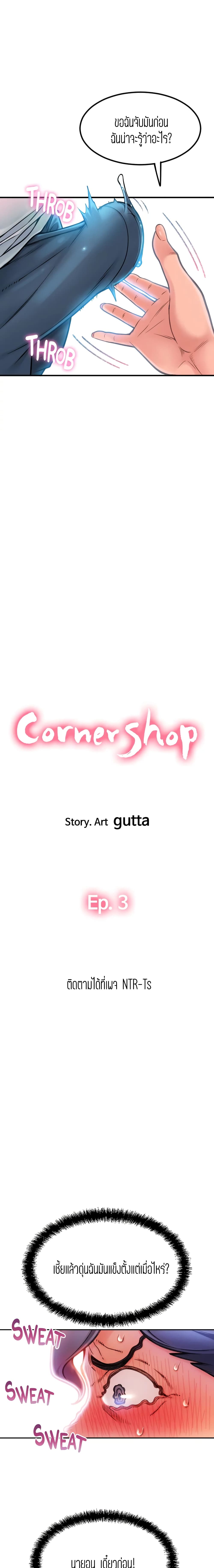 Corner Shop 3-3