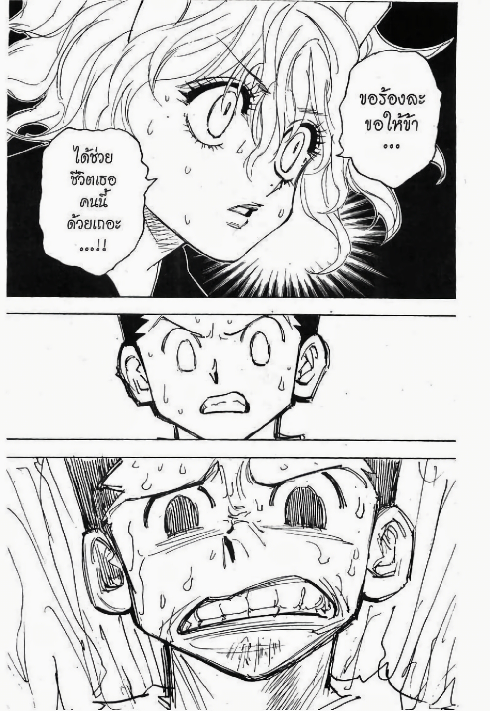 Hunter X Hunter 275-275