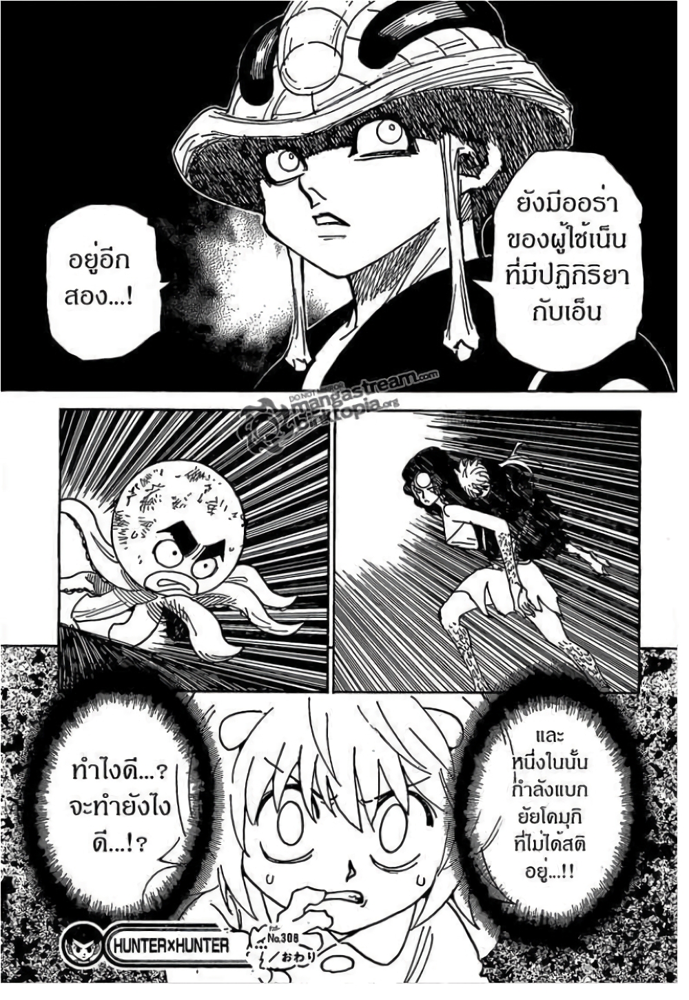 Hunter X Hunter 308-308