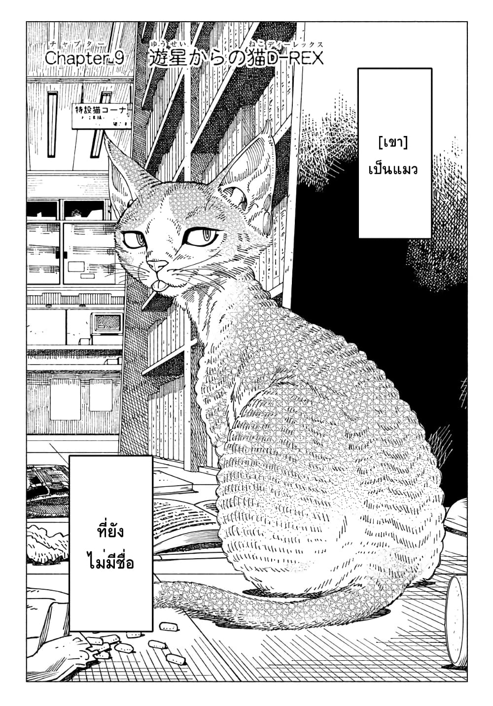 Nyaight of the Living Cat ซอมบี้เหมียวครองโลก! 9.1-แมว D-rex จากดาวเคราะห์