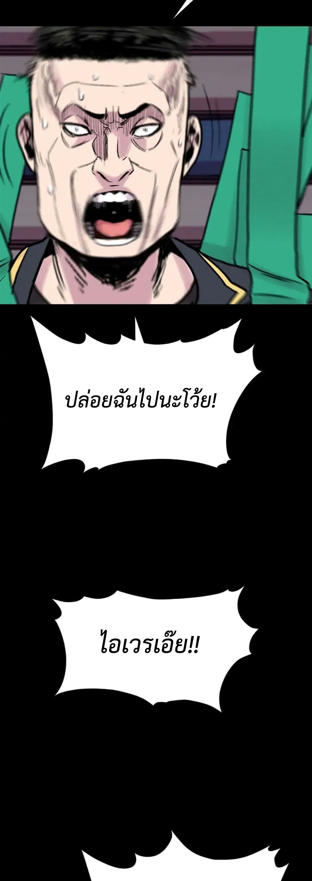 Switch 12-12