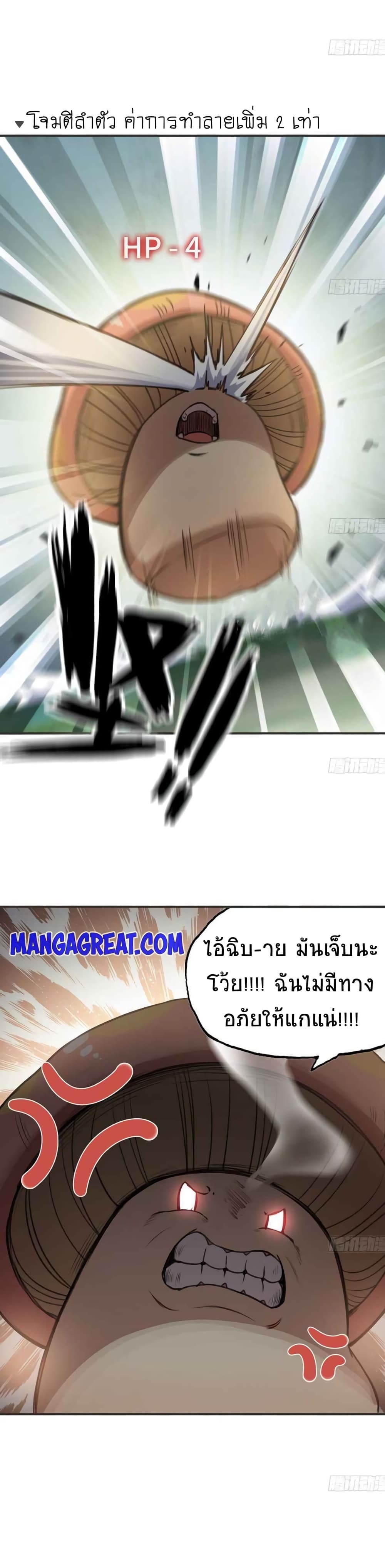 Mushroom Brave 5-5