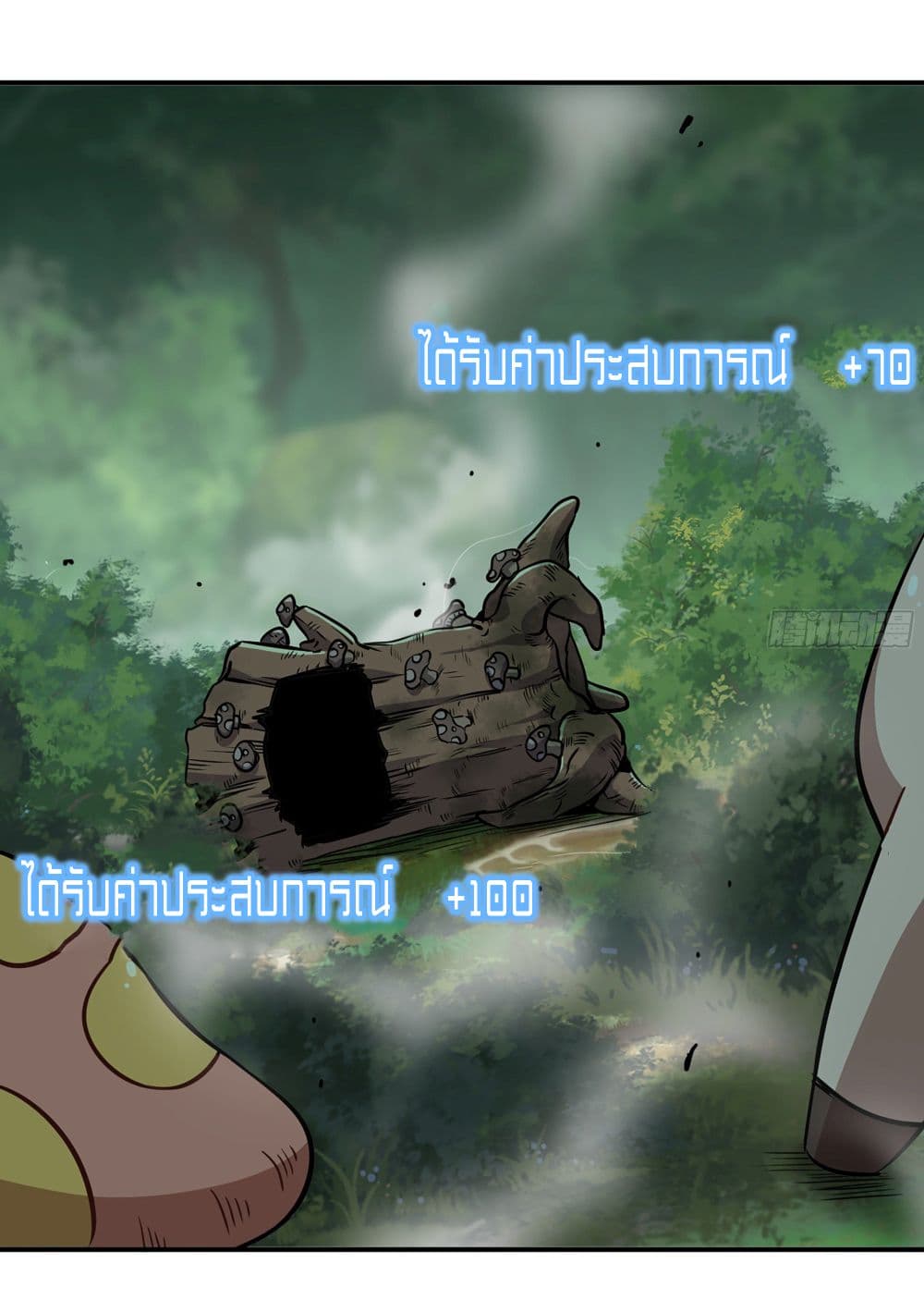 Mushroom Brave 16-16
