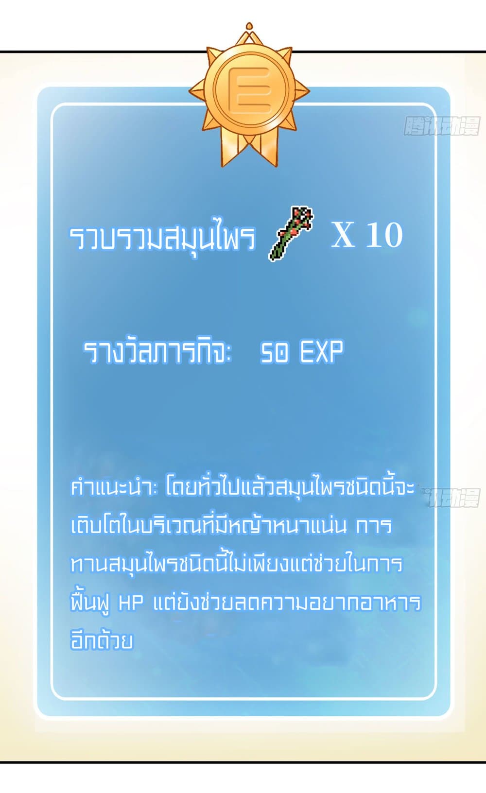 Mushroom Brave 13-13