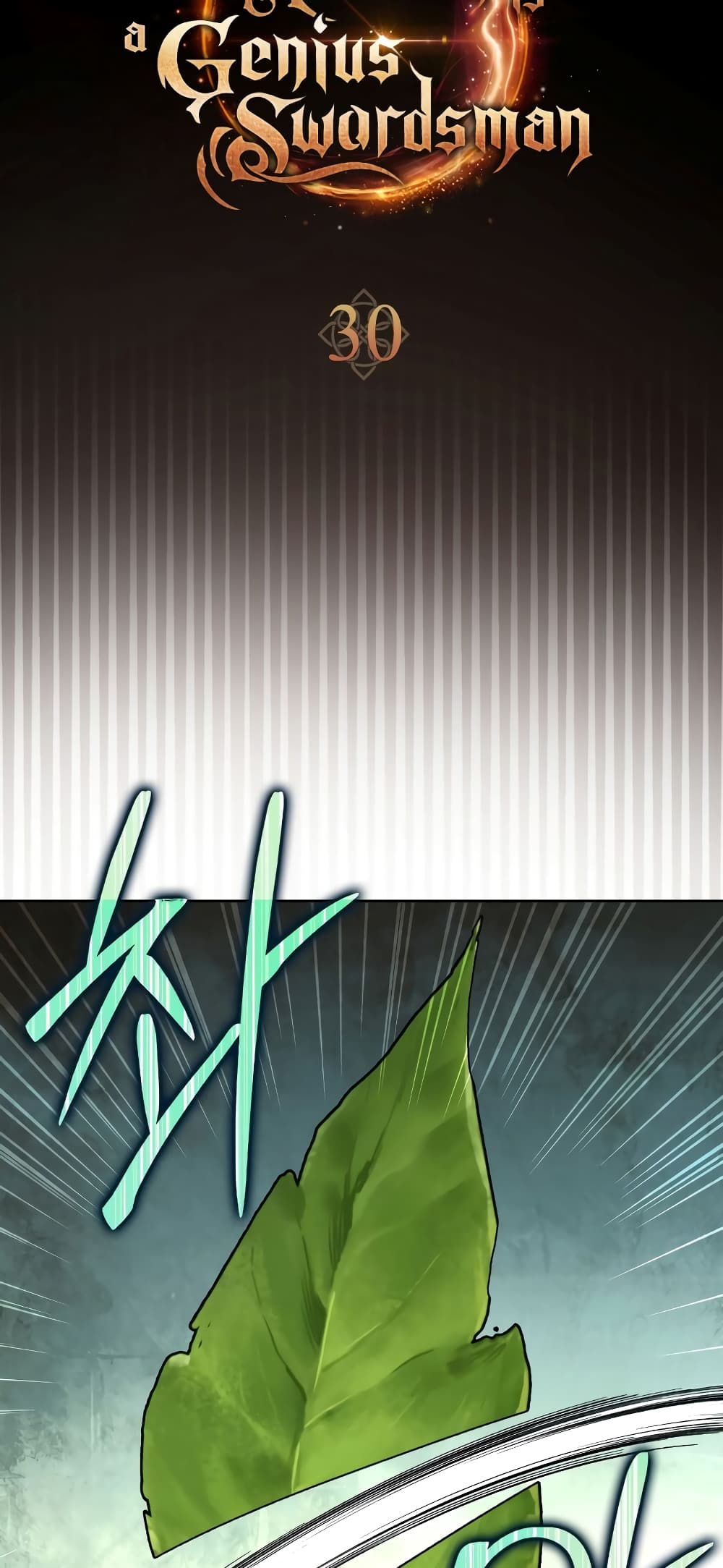 The Reincarnated Assassin is a Genius Swordsman 30-30