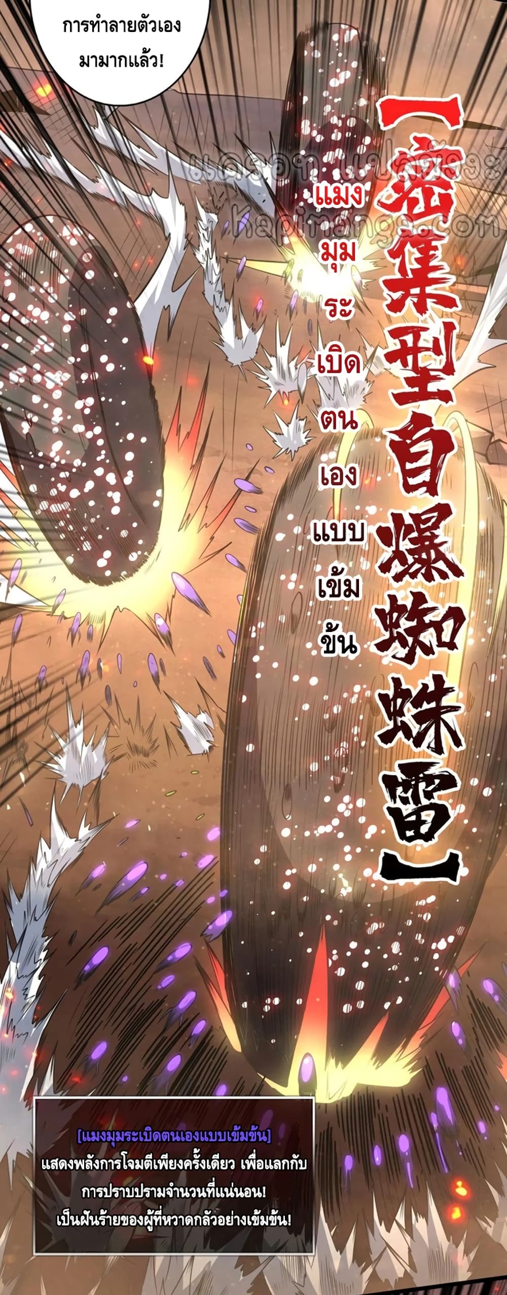 King Account at the Start 143-143
