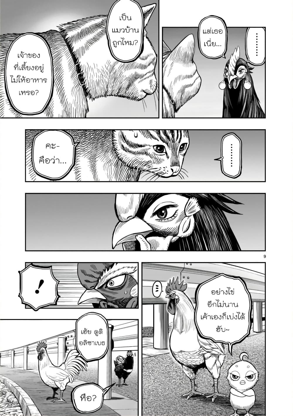 Rooster Fighter ป๋าโต้งชนยับ 9-หายใจดั่งไก่ป่า จับจ้องดั่งไก่เลี้ยง (กินแค่เพื่ออยู่ไปวันๆ)