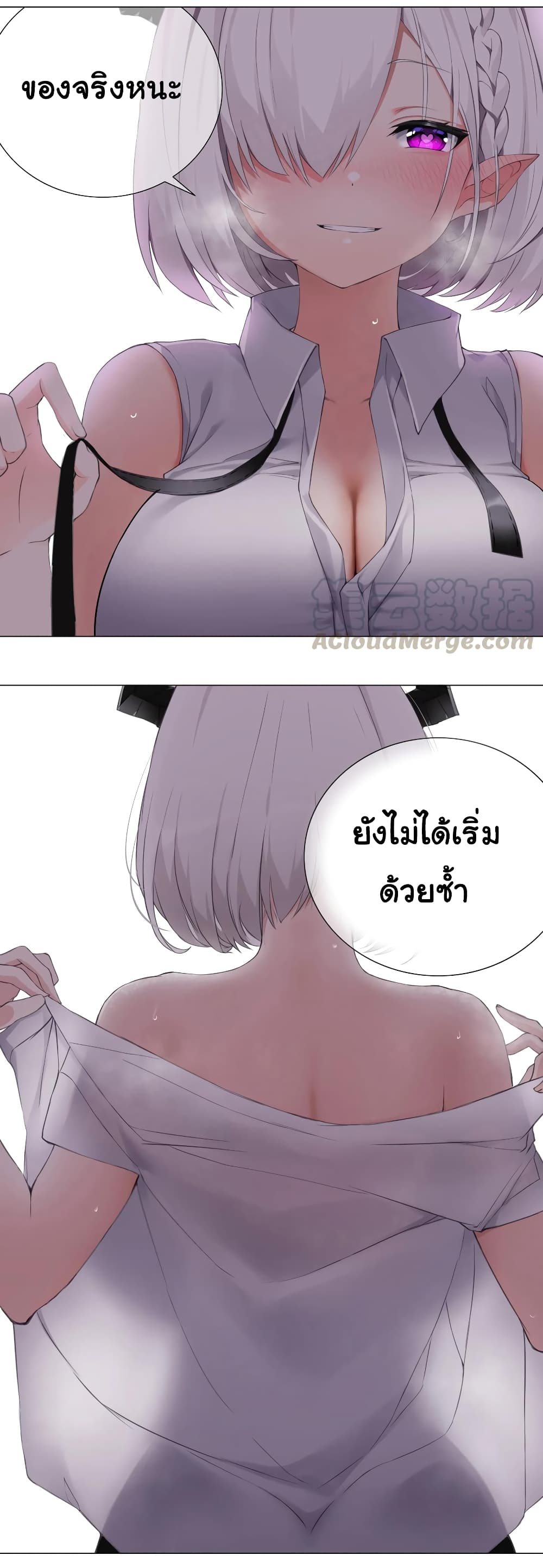 My Harem is the Best 15-15