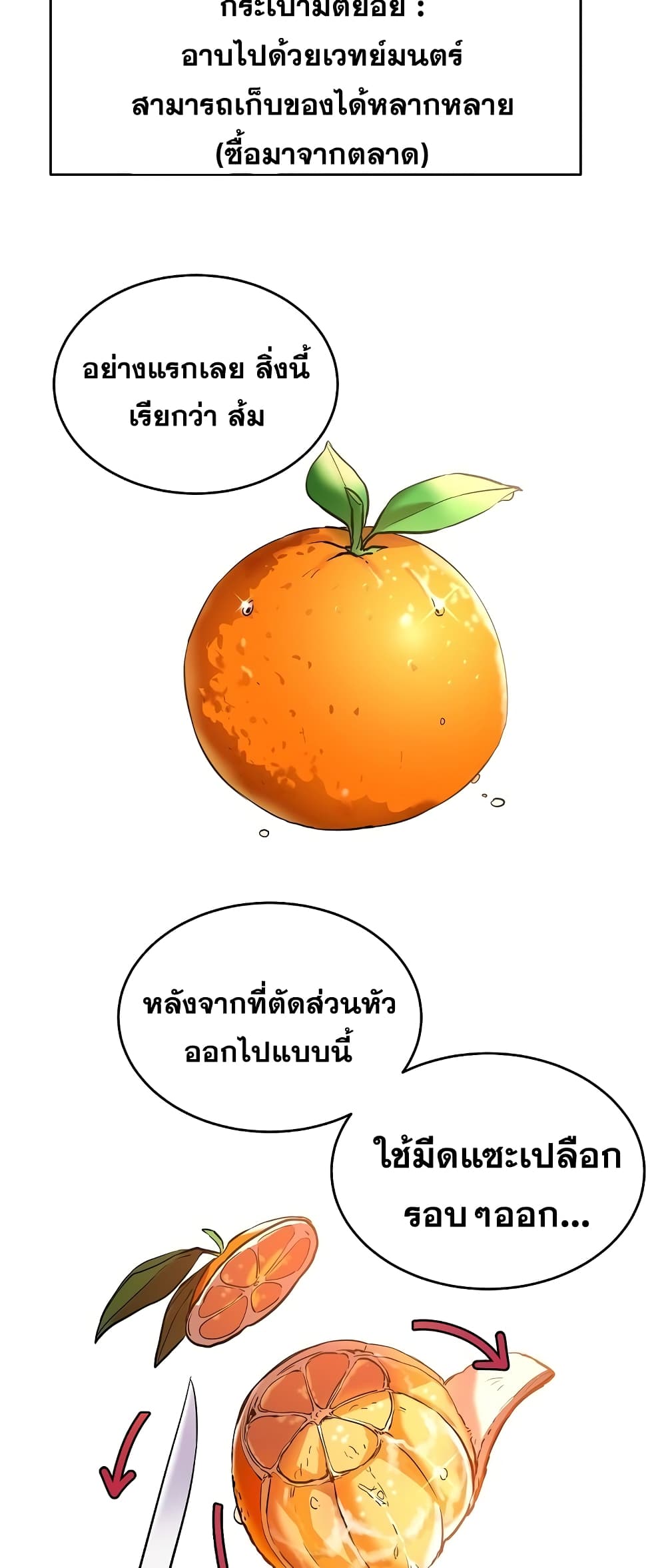 Cooking Wizard 3-3