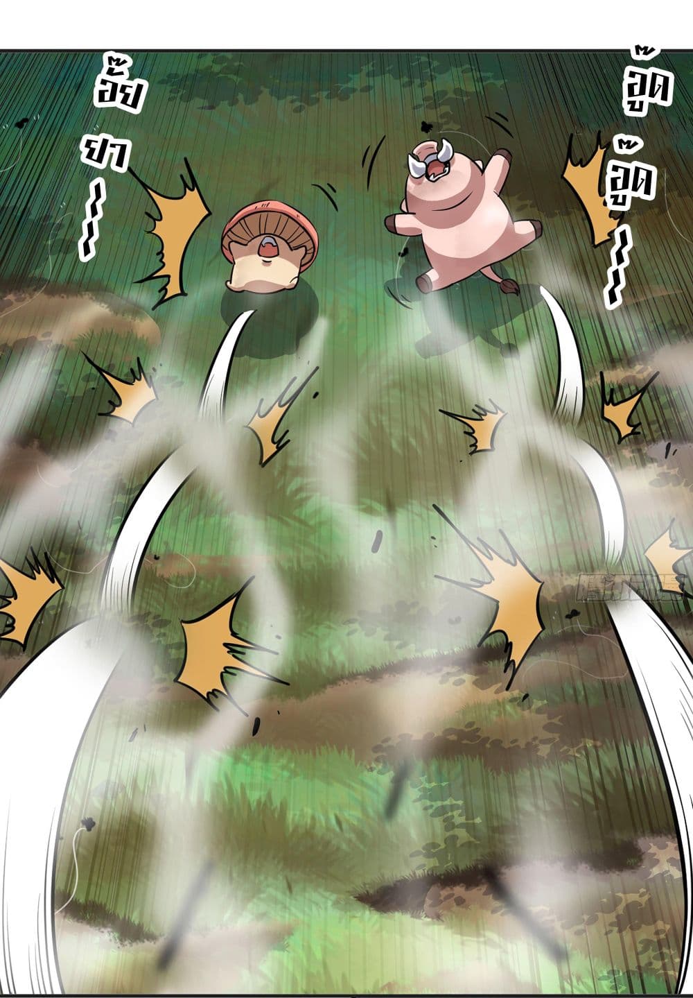 Mushroom Brave 16-16