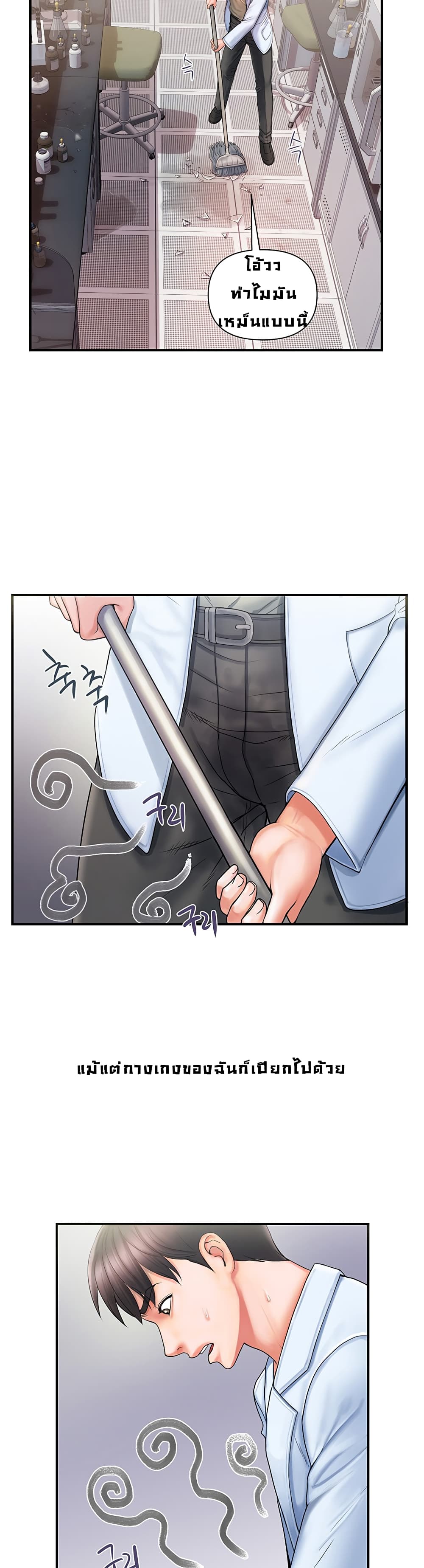 Pheromones 1-1
