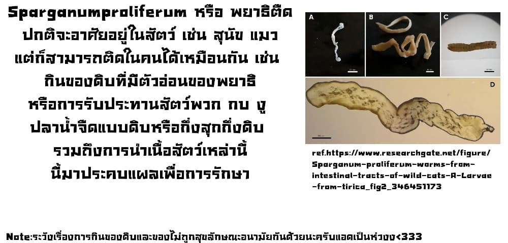 Juujika no Rokunin กางเขนสีชาด 138-138