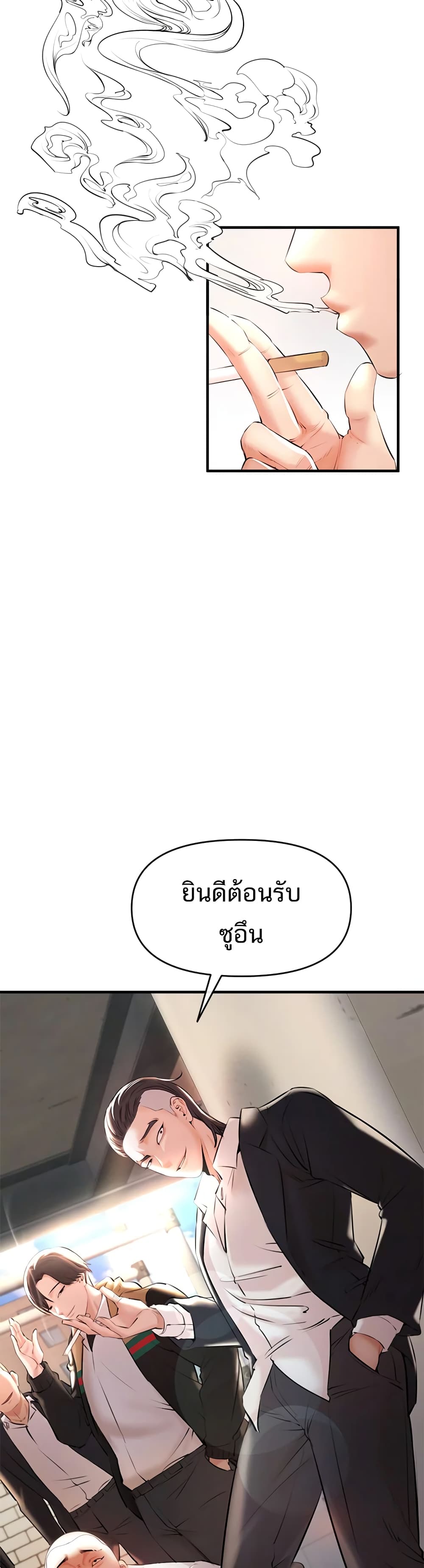 ZZIN 1-1