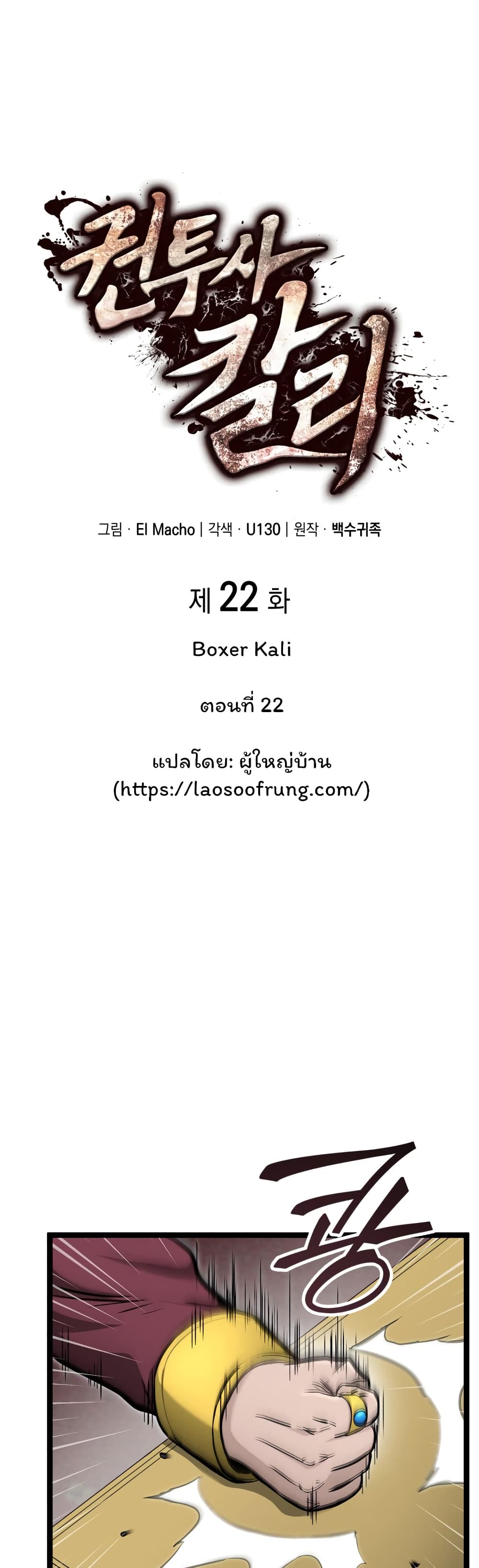 Boxer Kali 22-22