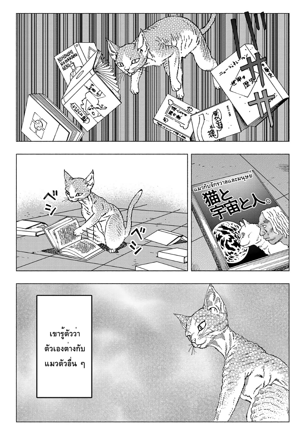 Nyaight of the Living Cat ซอมบี้เหมียวครองโลก! 9.1-แมว D-rex จากดาวเคราะห์