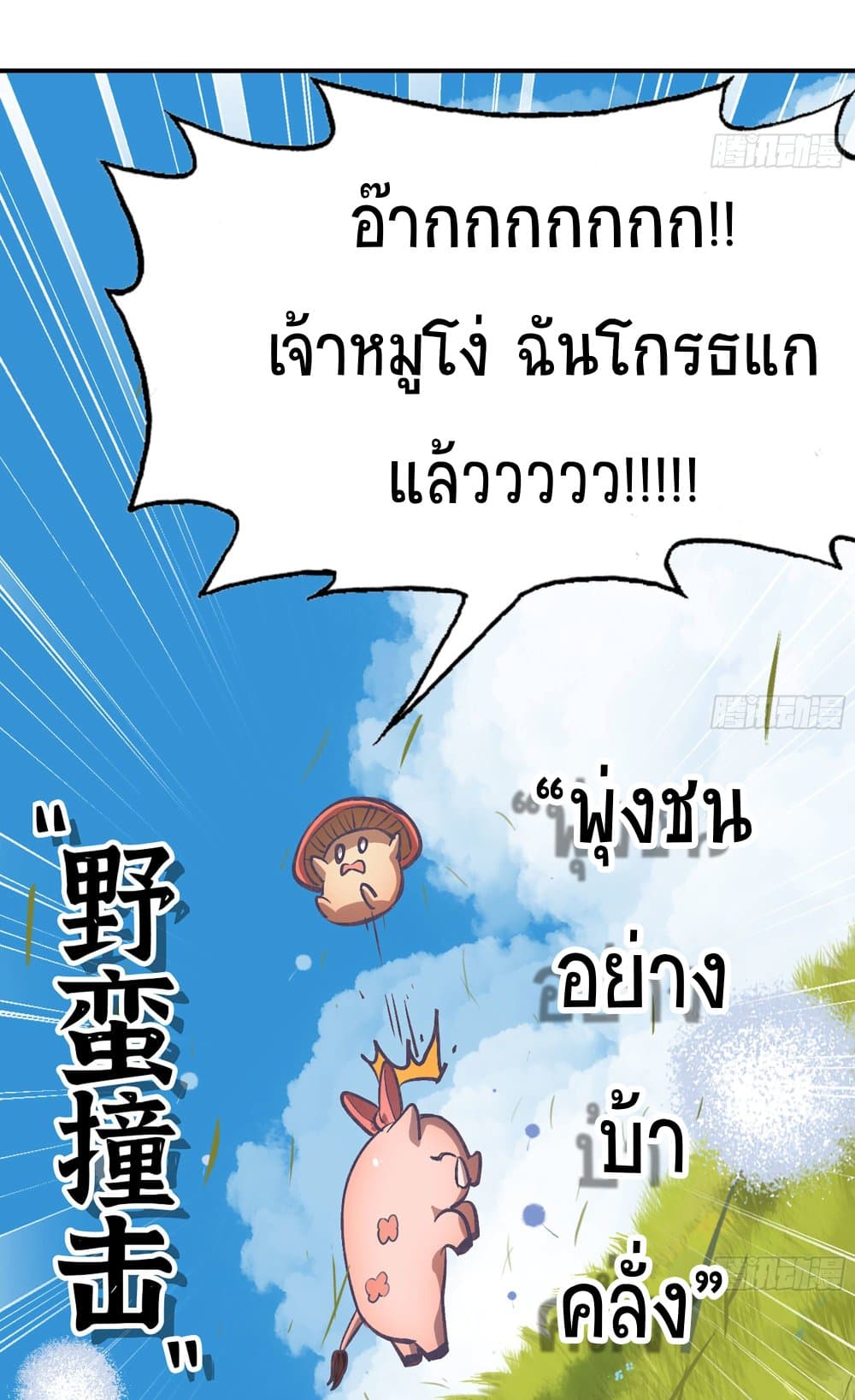Mushroom Brave 13-13