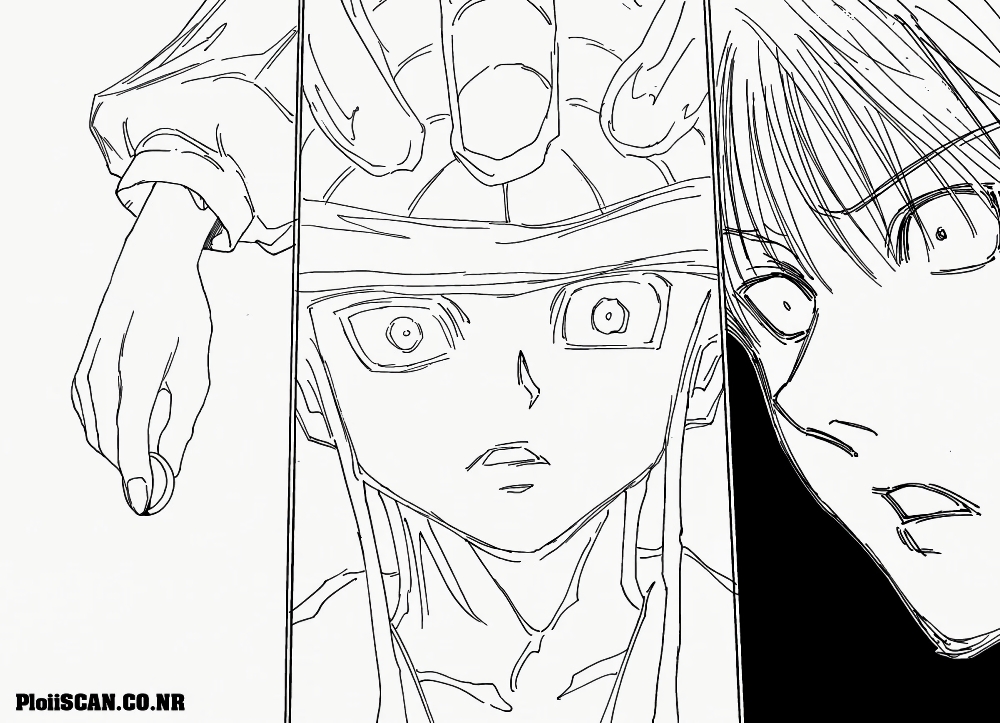 Hunter X Hunter 313-313