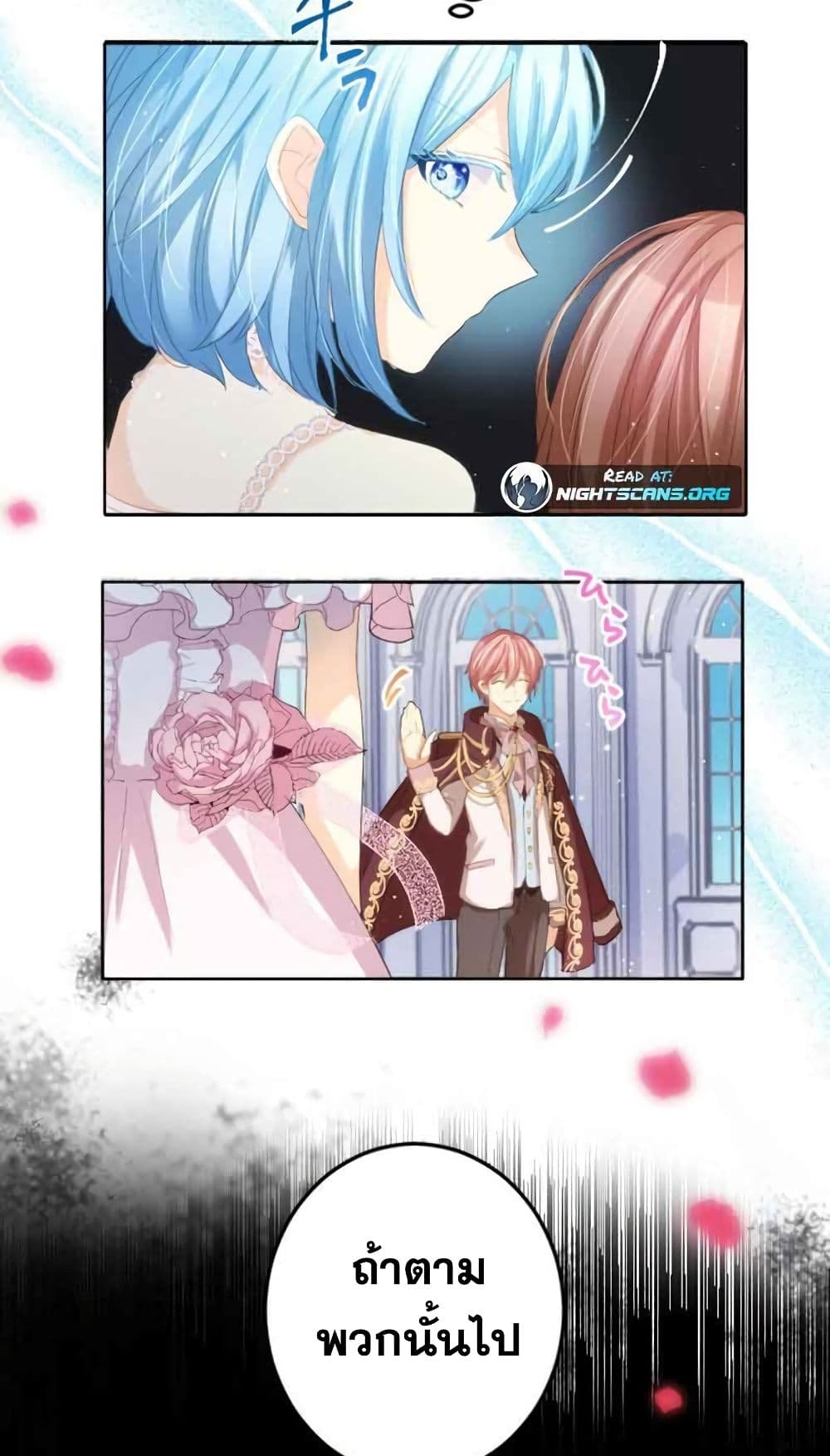 The Precious Girl Does Not Shed Tears 5-5