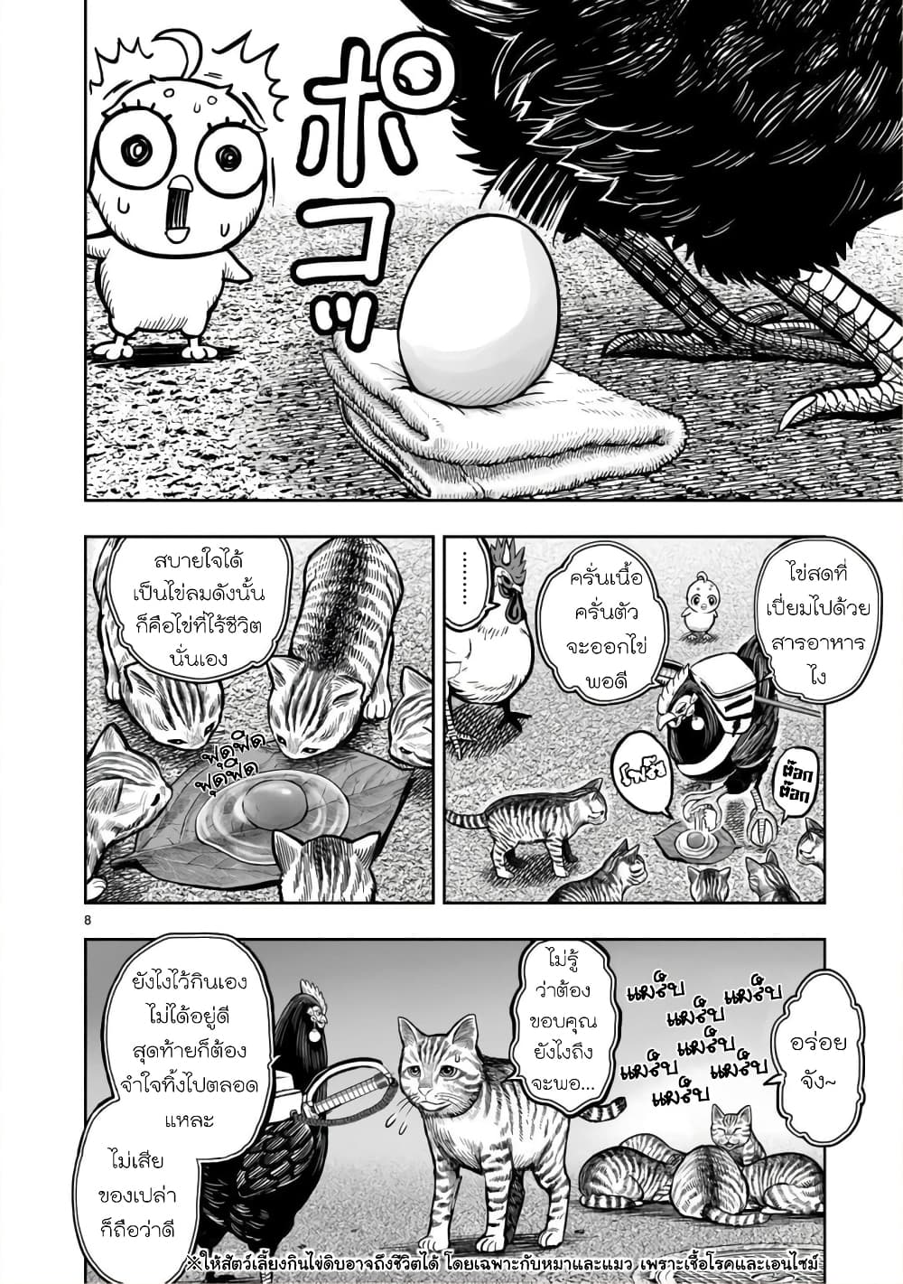 Rooster Fighter ป๋าโต้งชนยับ 9-หายใจดั่งไก่ป่า จับจ้องดั่งไก่เลี้ยง (กินแค่เพื่ออยู่ไปวันๆ)