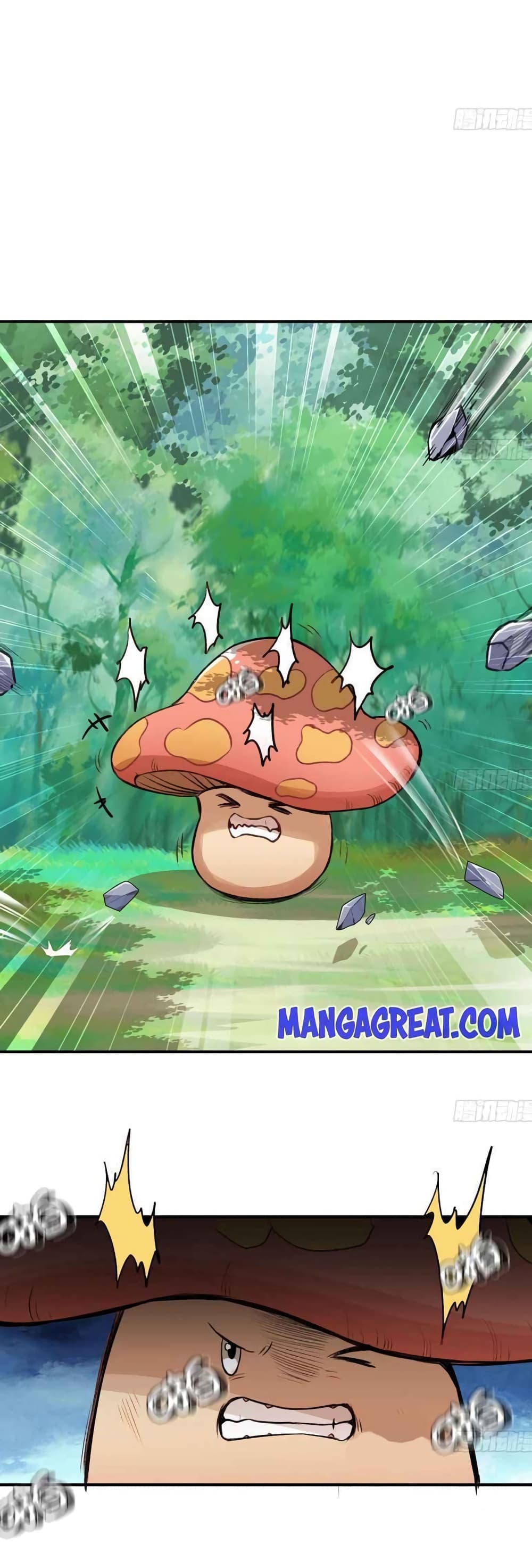 Mushroom Brave 5-5