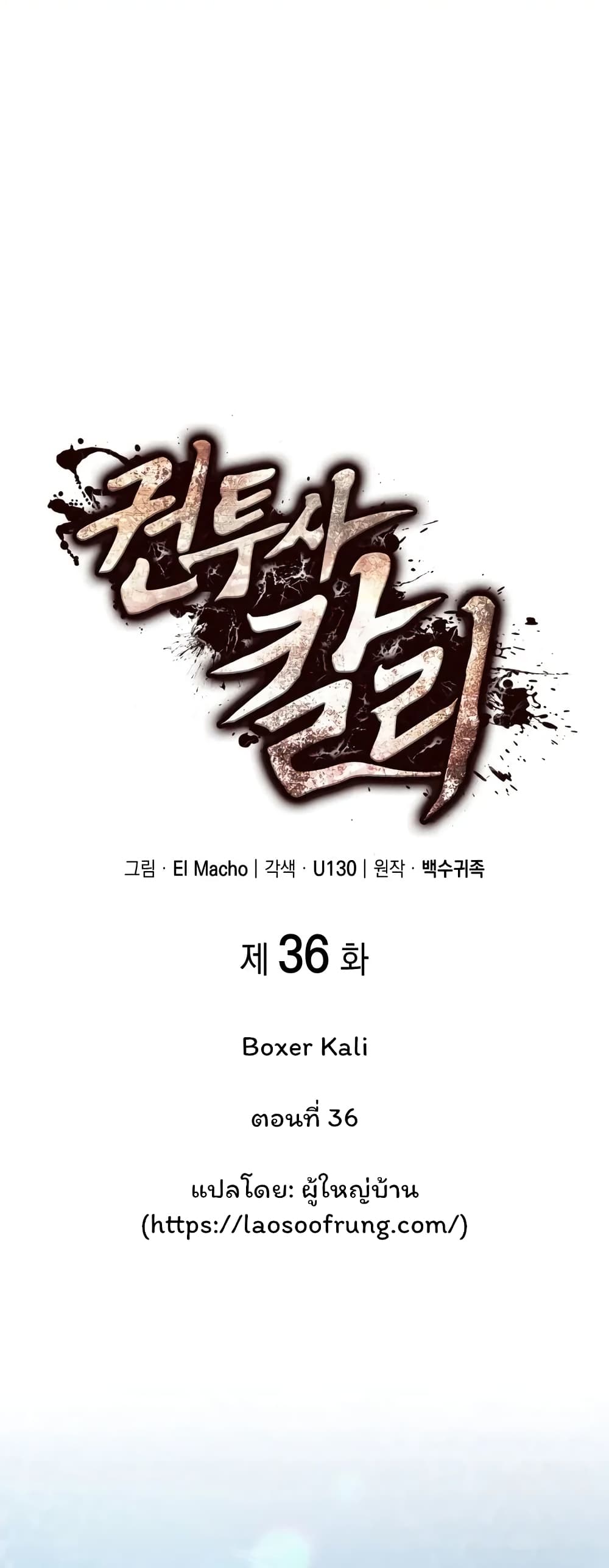 Boxer Kali 36-36
