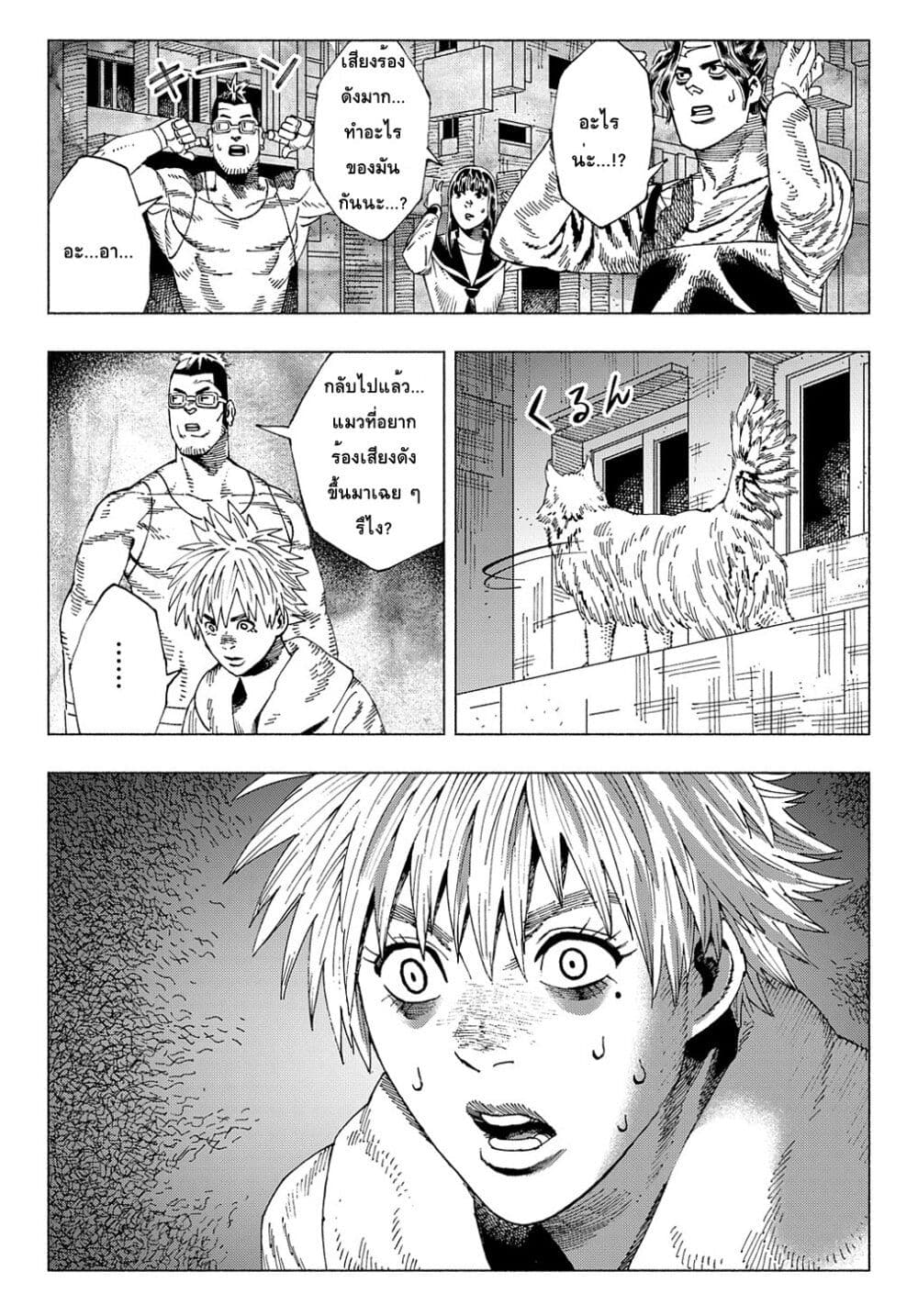 Nyaight of the Living Cat ซอมบี้เหมียวครองโลก! 6.1-แมวคือราชาของโลกที่ไร้เมตตา (ภาคต้น)