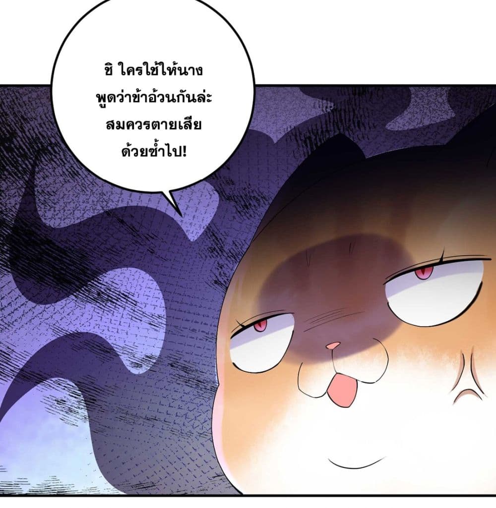 God-level Contract Start With a Cat 6-6