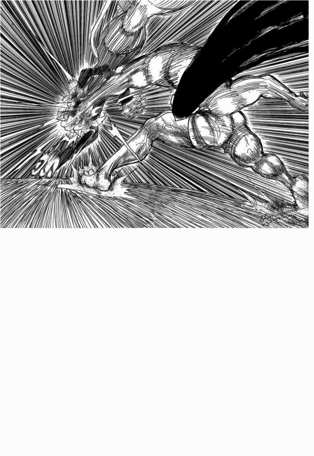Hunter X Hunter 306-306
