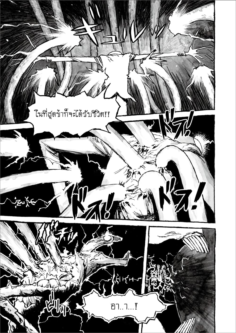 Bibliomania 9-เฉลิมฉลอง