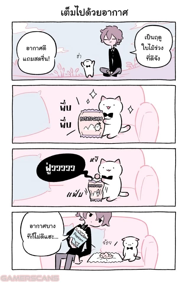 Wonder Cat Kyuu-chan คิวจัง แมวมหัศจรรย์ 50-50