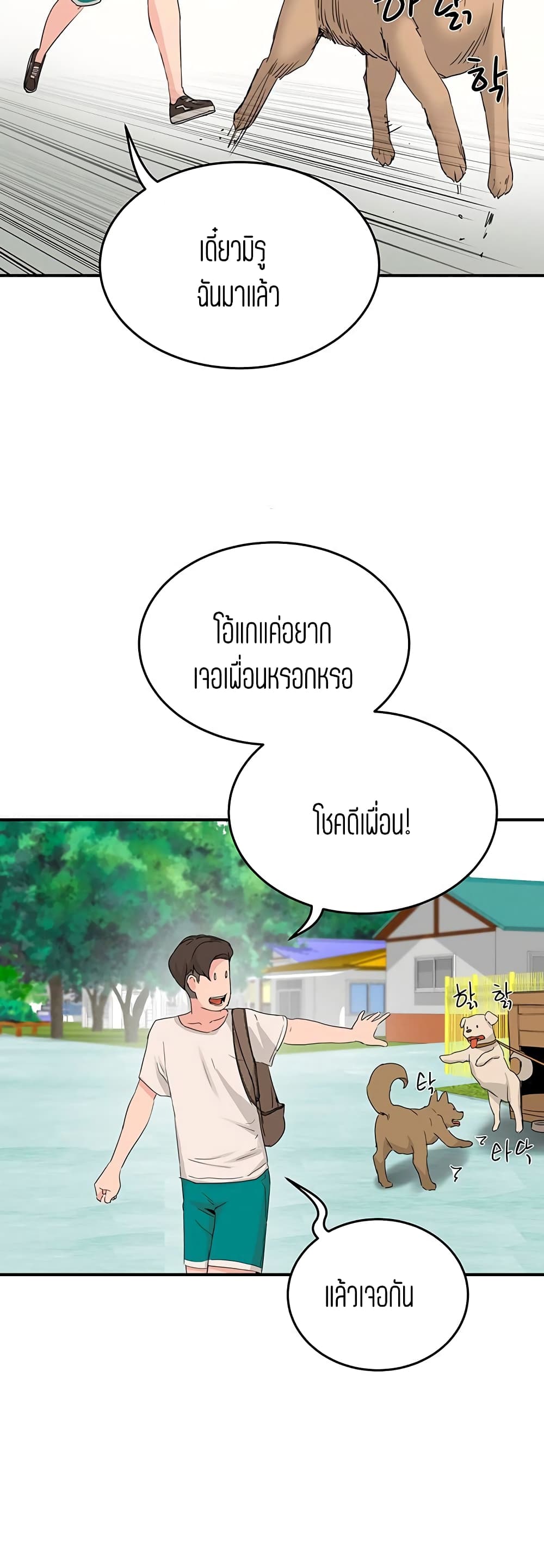 In the Summer 18-18
