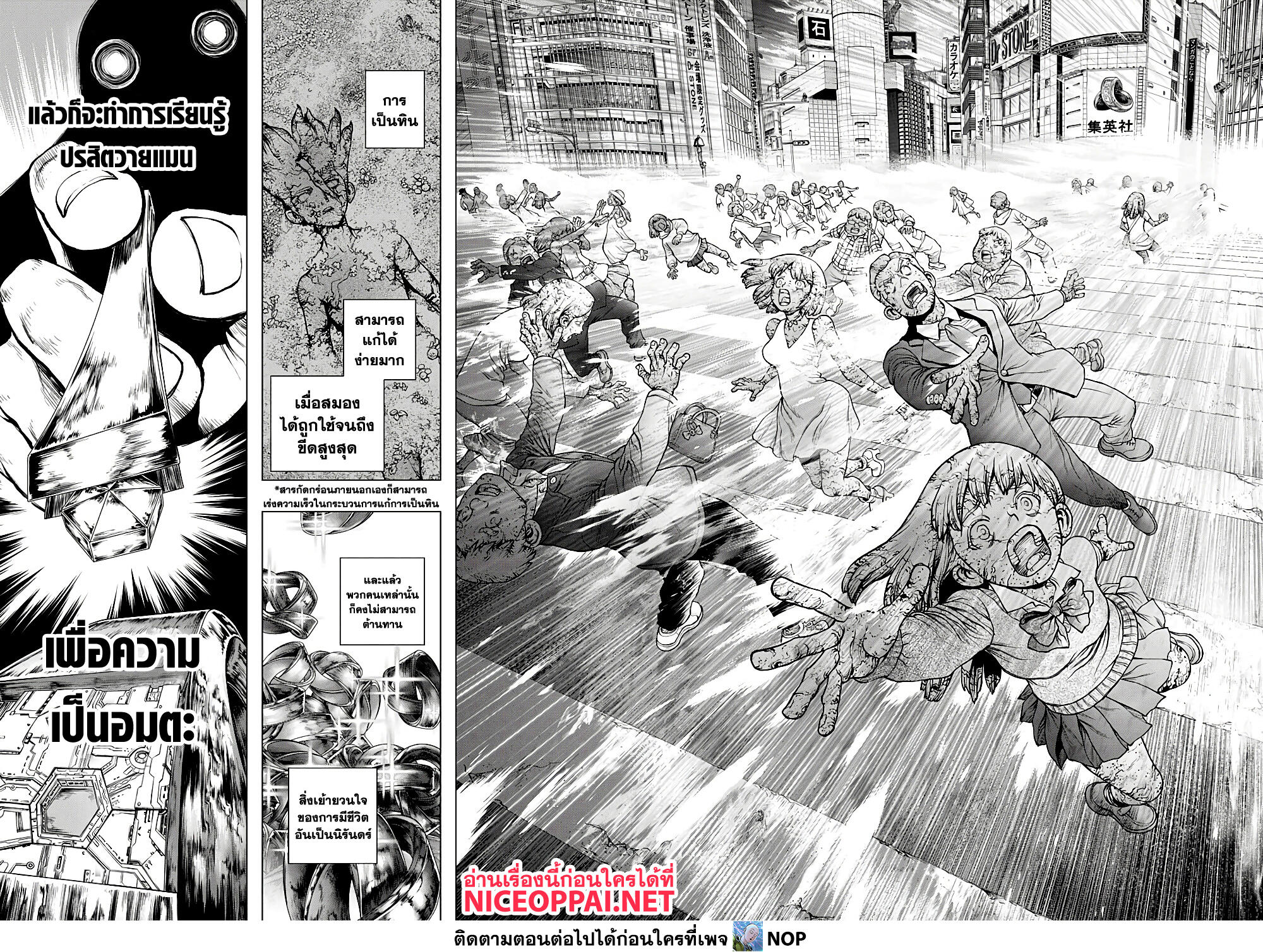 Dr.Stone 229-WHYMAN