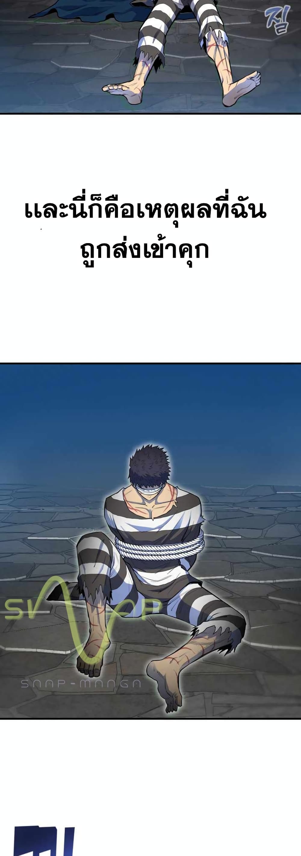Standard of Reincarnation 1-1