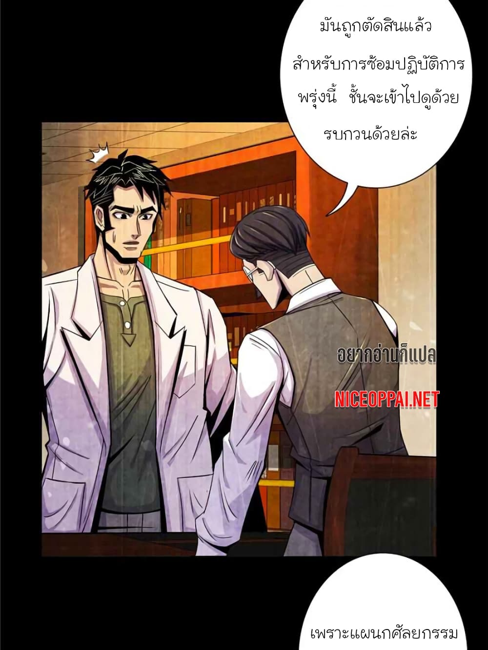Dr.Don 31-31
