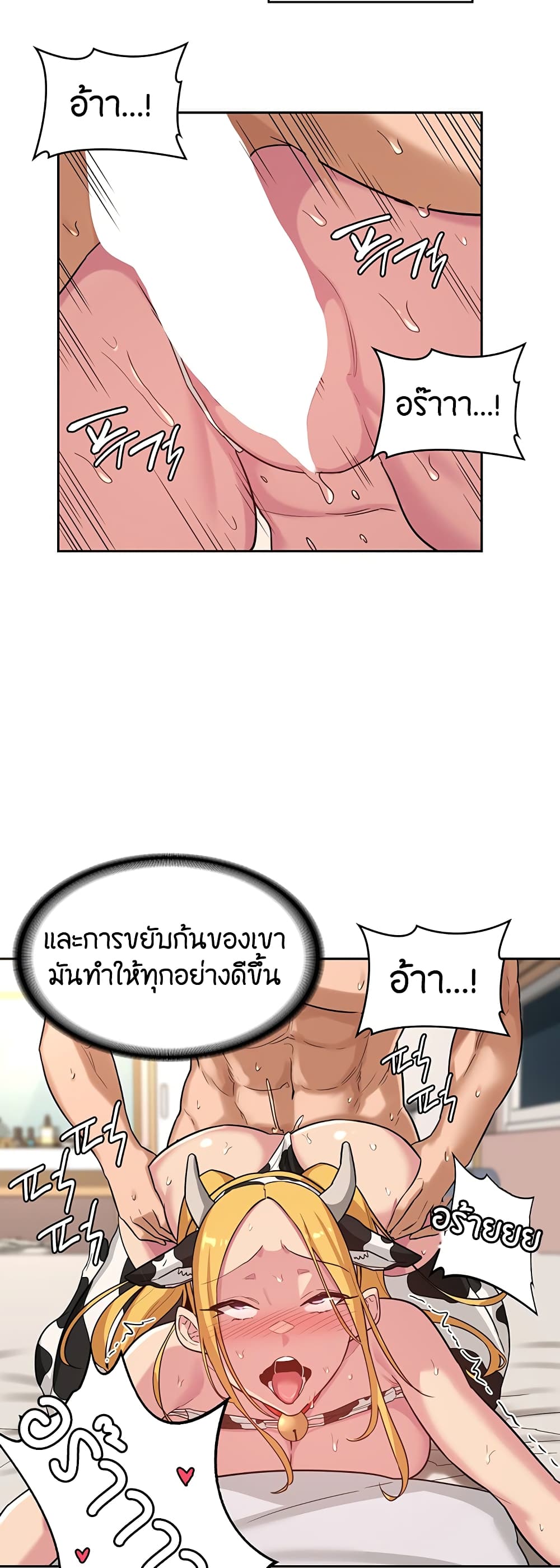Sextudy Group 37-37