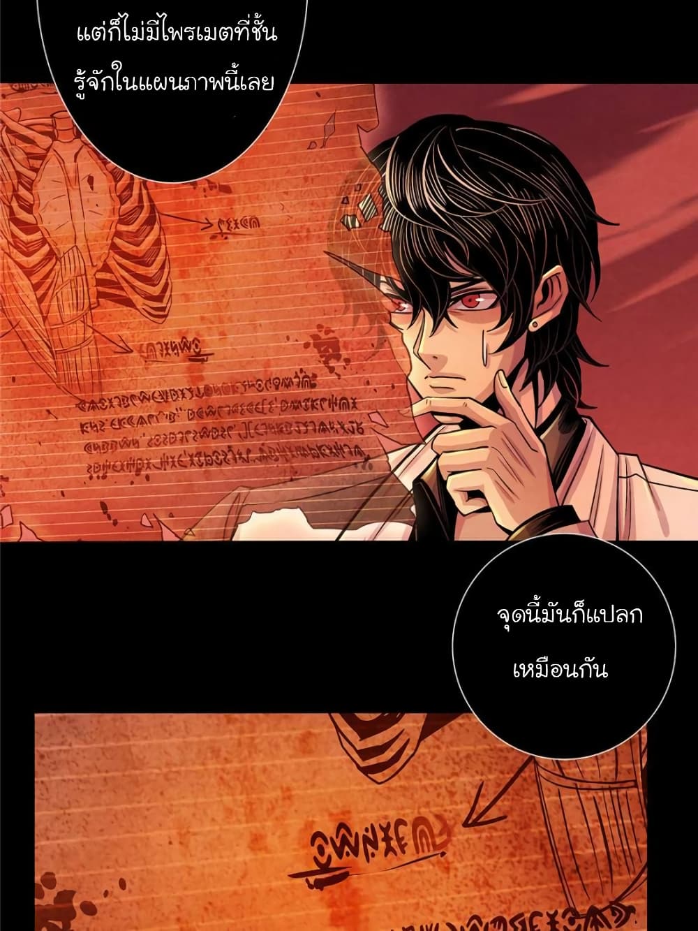 Dr.Don 15-15