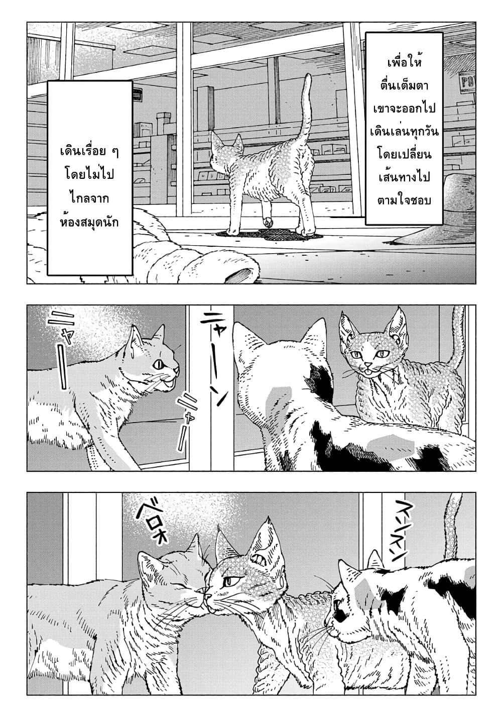Nyaight of the Living Cat ซอมบี้เหมียวครองโลก! 9.1-แมว D-rex จากดาวเคราะห์